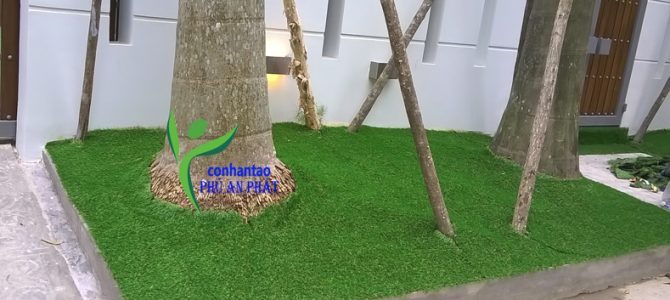 Cách sử dụng thảm cỏ nhân tạo trong thời tiết ẩm ướt
