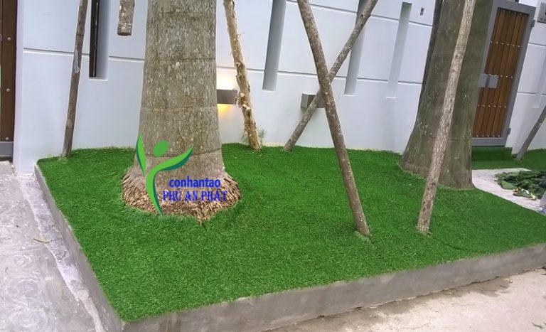 Cách sử dụng thảm cỏ nhân tạo trong thời tiết ẩm ướt