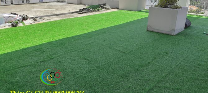 Thảm cỏ nhân tạo Bình Hưng Hoà B quận Bình Tân