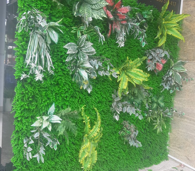 Cỏ tai chuột trang trí tại hiên nhà Huyện Bình Chánh