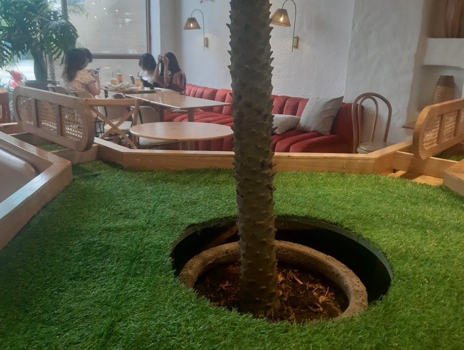 Cỏ nhân tạo quán cafe đẹp mắt 2023