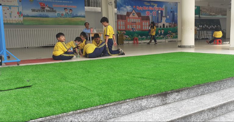 Hình ảnh trang trí thảm cỏ sân thượng và mầm non