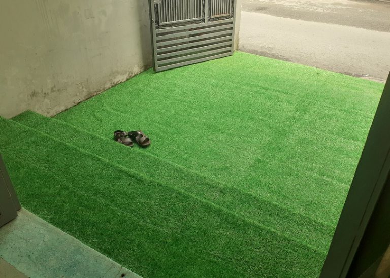 Trường tuyển sinh du hoc Gò Vấp lót thảm cỏ