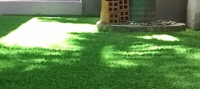 Trường tư vấn du học Gò Vấp có trải thảm cỏ